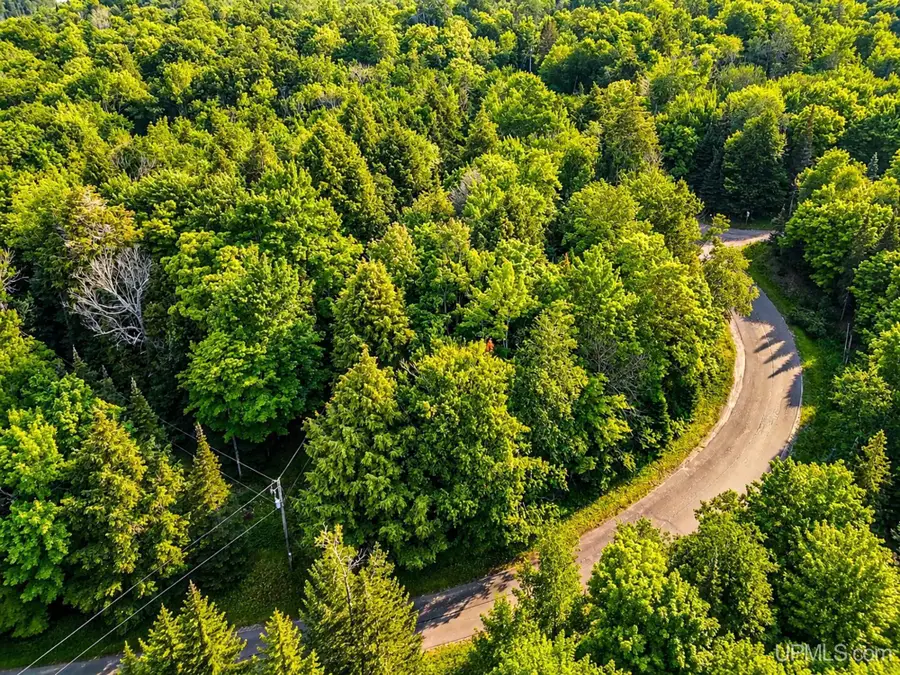 Lot 4 Stateline Lake, Marenisco, MI 49947 - #2