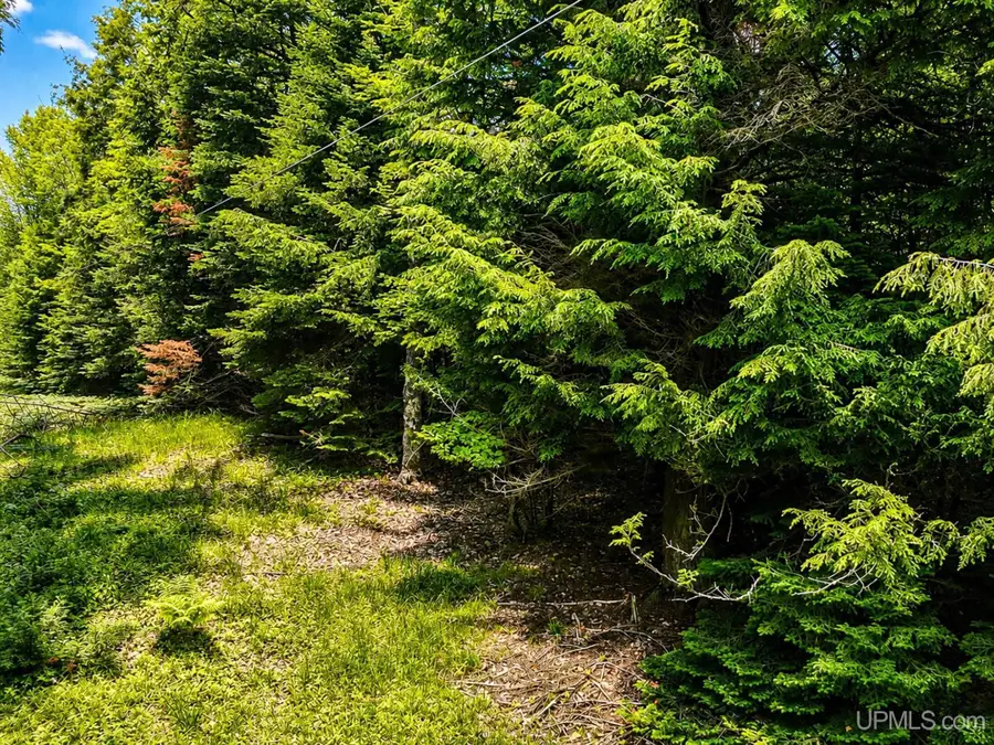 Lot 4 Stateline Lake, Marenisco, MI 49947 - #3