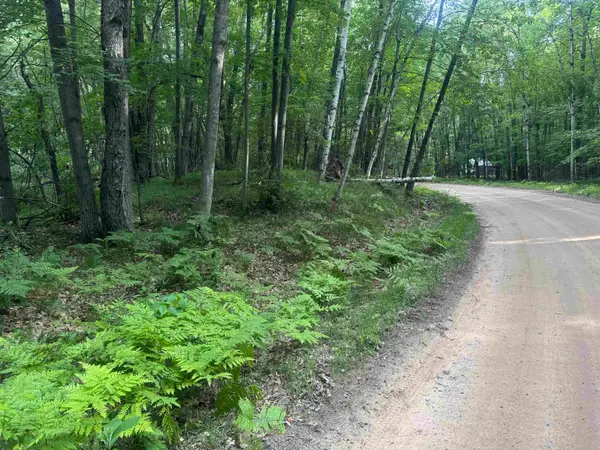 Lot 968 Cherry, Farwell, MI 48622