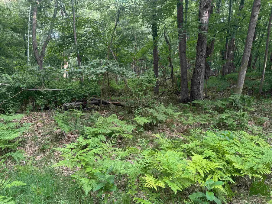 Lot 968 Cherry, Farwell, MI 48622 - #2