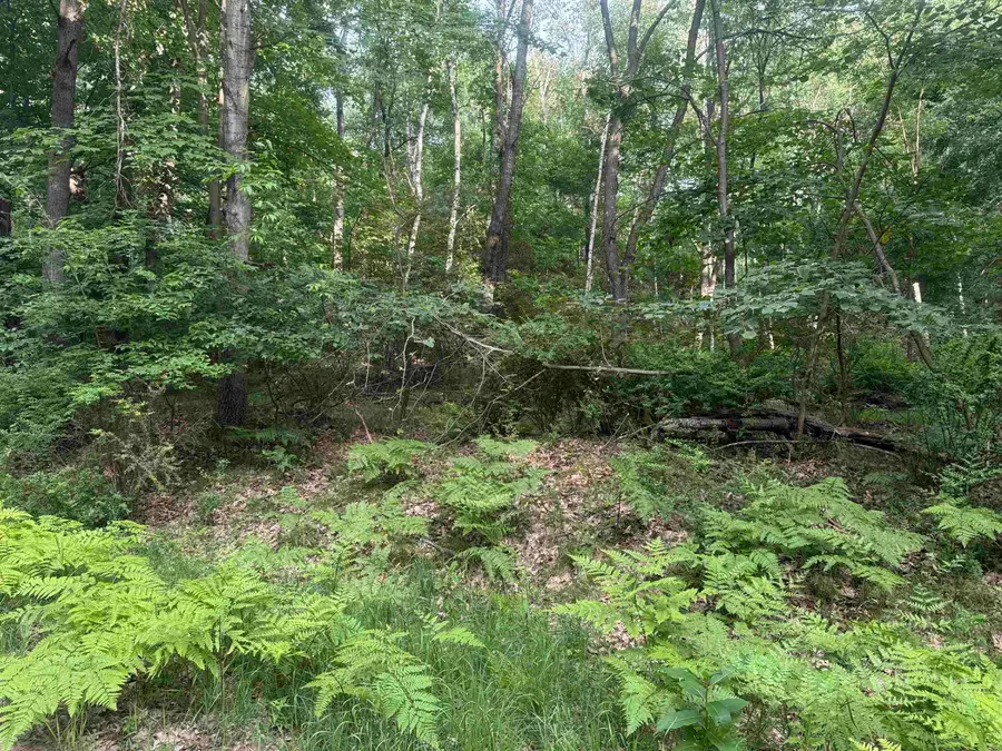Lot 968 Cherry, Farwell, MI 48622 - #3