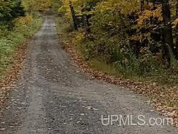 TBD Walt's Road, Iron Mountain, MI 49801
