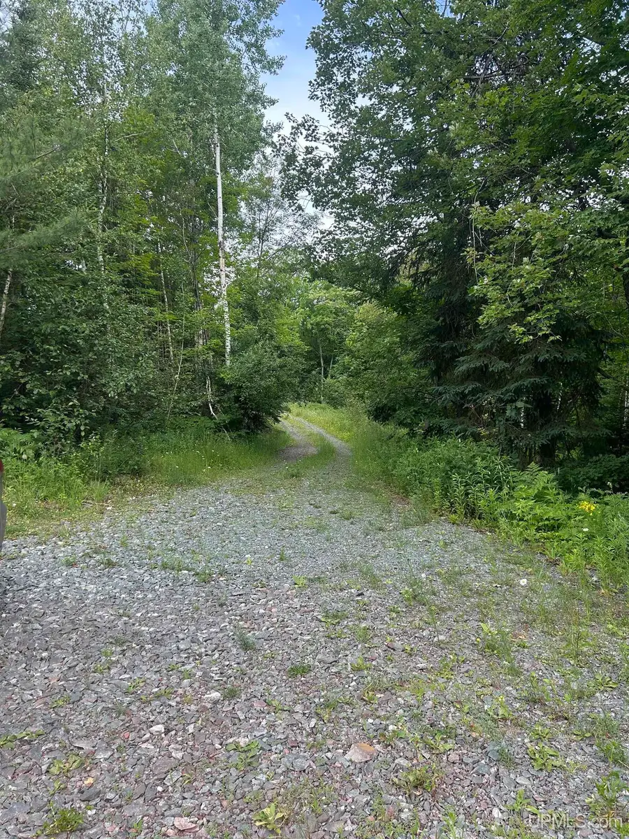 Off Co Rd 480 & Old Co Rd 480, Negaunee, MI 49866 - #3