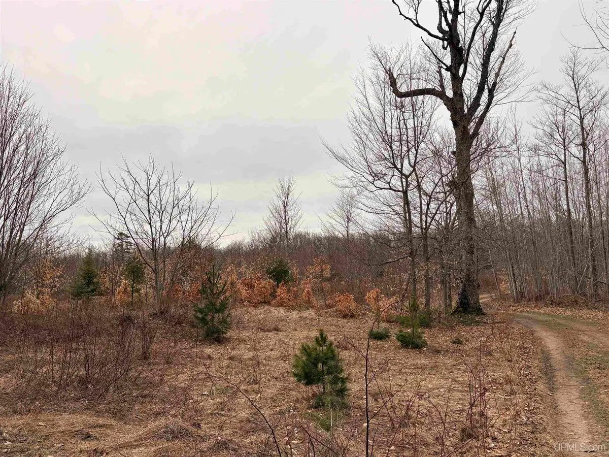 TBD County Rd L-8, Rapid River, MI 49878 - #1