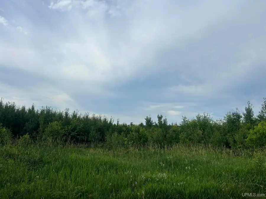 Off Co Rd 480 & Old Co Rd 480, Negaunee, MI 49866 - #2