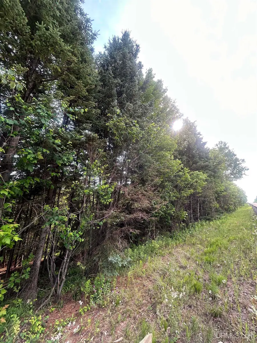 Off Co Rd 480 & Old Co Rd 480, Negaunee, MI 49866 - #3