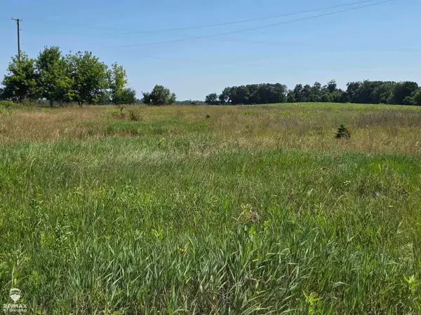 Garrison, Laingsburg, MI 48848