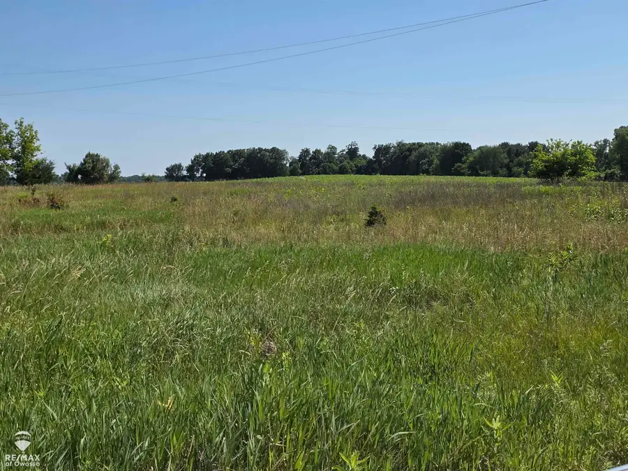Garrison, Laingsburg, MI 48848 - #2
