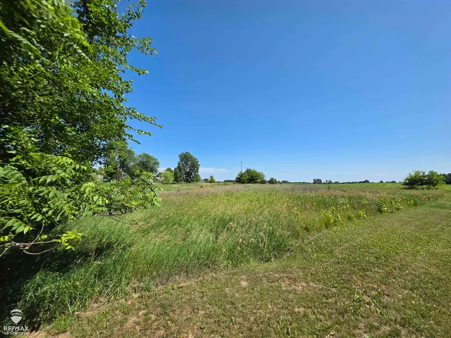 Garrison, Laingsburg, MI 48848 - #3