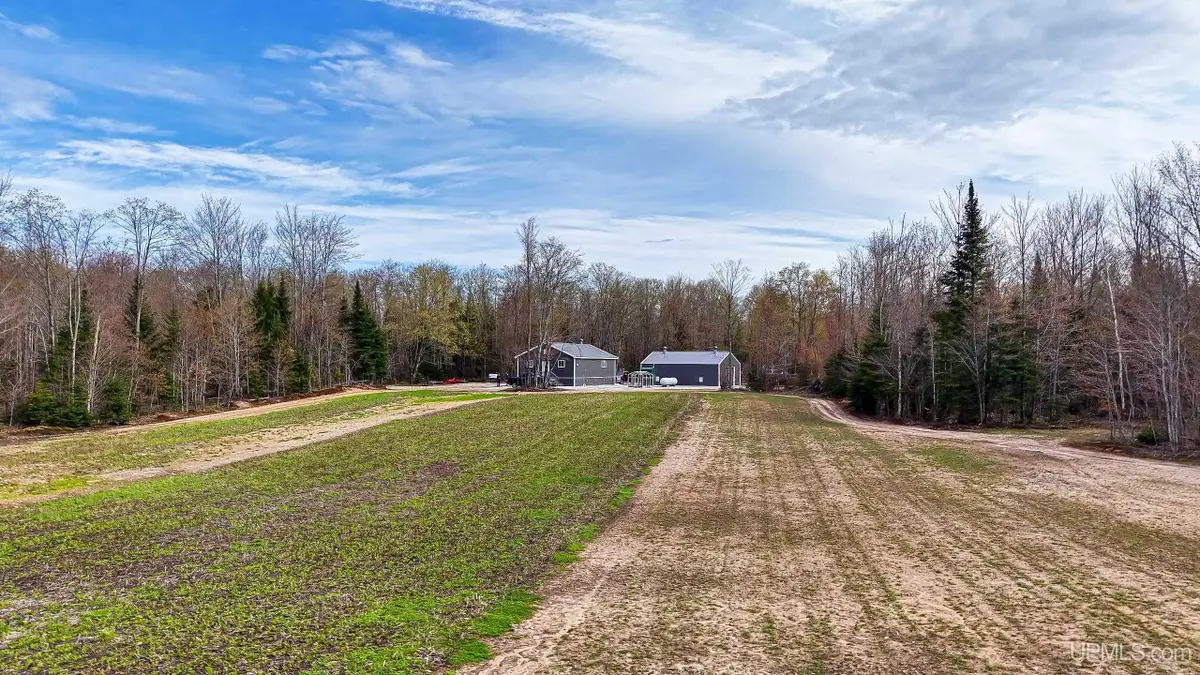 11307 Chesbrough Lake, Newberry, MI 49868 - #1