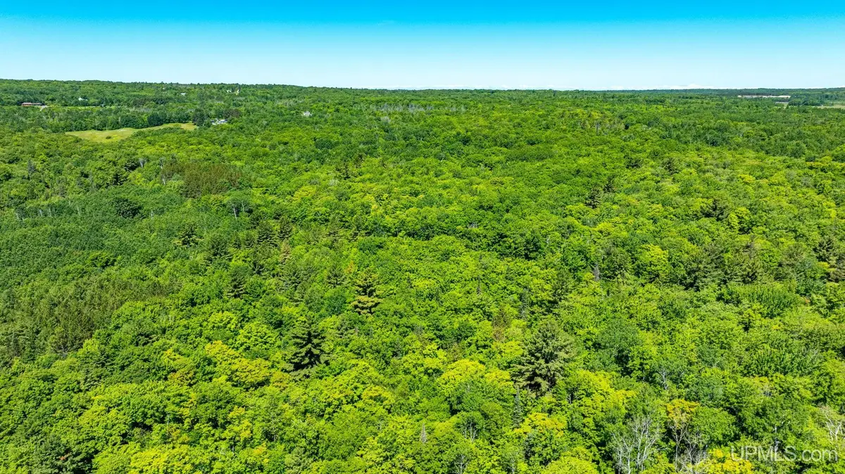 TBD 1 Forsman, Hancock, MI 49930 - #1