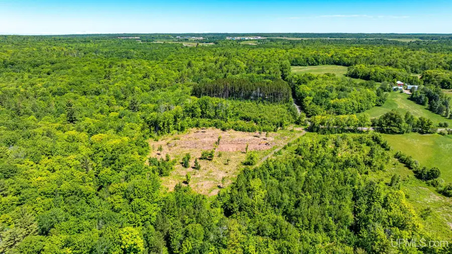 TBD 1 Forsman, Hancock, MI 49930 - #3