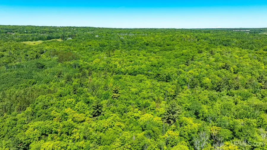 TBD 2 Forsman, Hancock, MI 49930 - #2