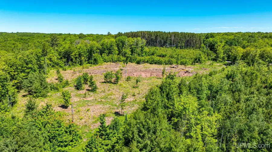 TBD 3 Forsman, Hancock, MI 49930 - #3