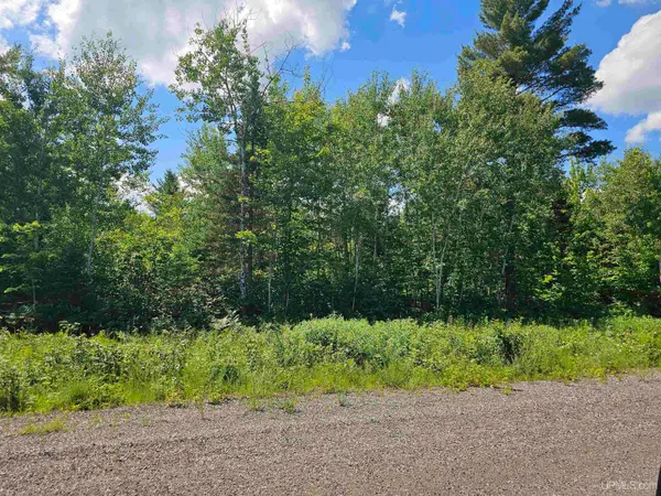 TBD Pike Pond, Ishpeming, MI 49849