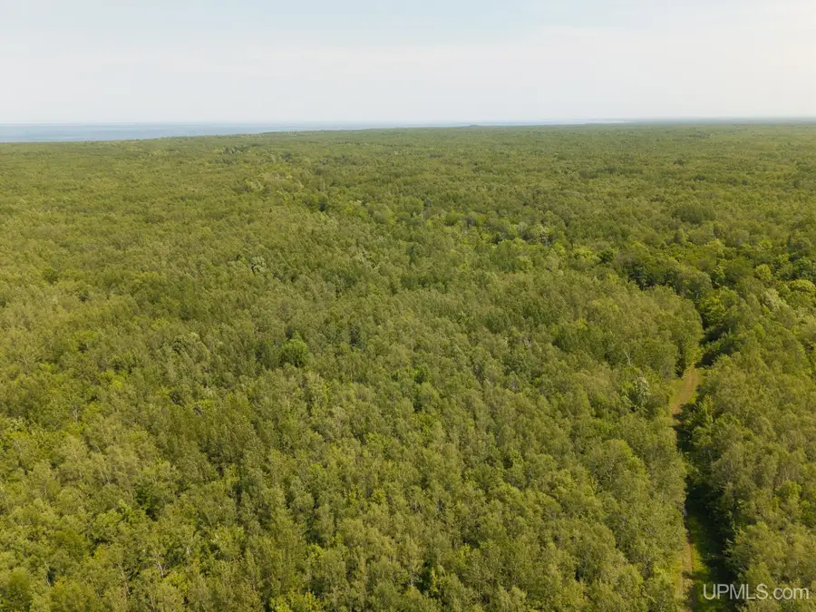 32954 Kingbird, Carp Lake, MI 49718 - #2
