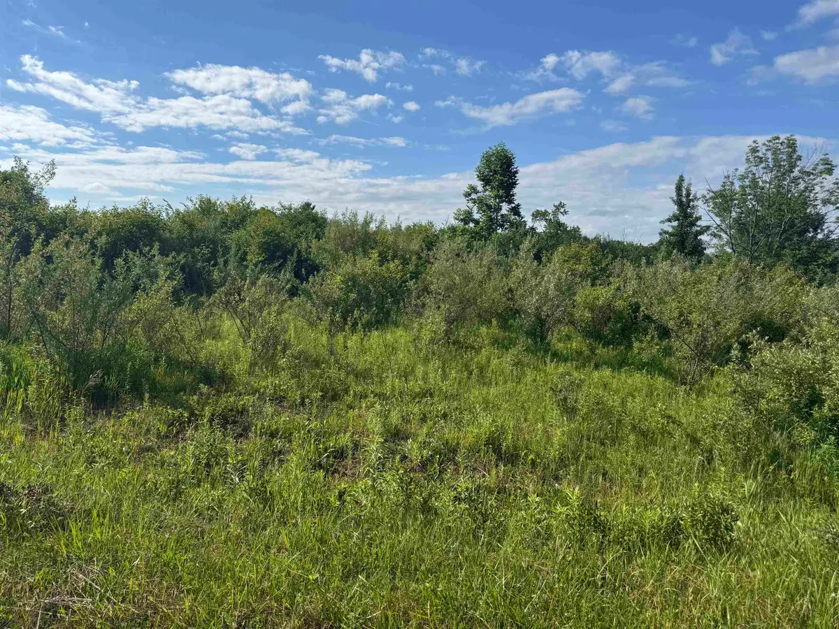 S Lakeview Court, Gladwin, MI 48624 - #1