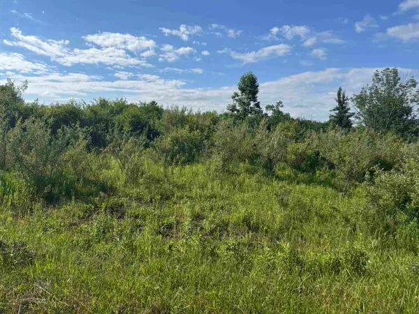 S Lakeview Court, Gladwin, MI 48624