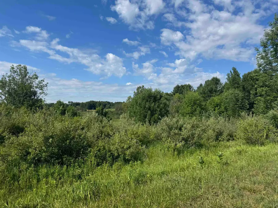 S Lakeview Court, Gladwin, MI 48624 - #2