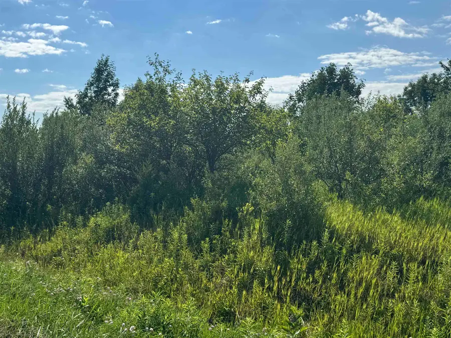 S. Lakeview Court, Gladwin, MI 48624 - #3