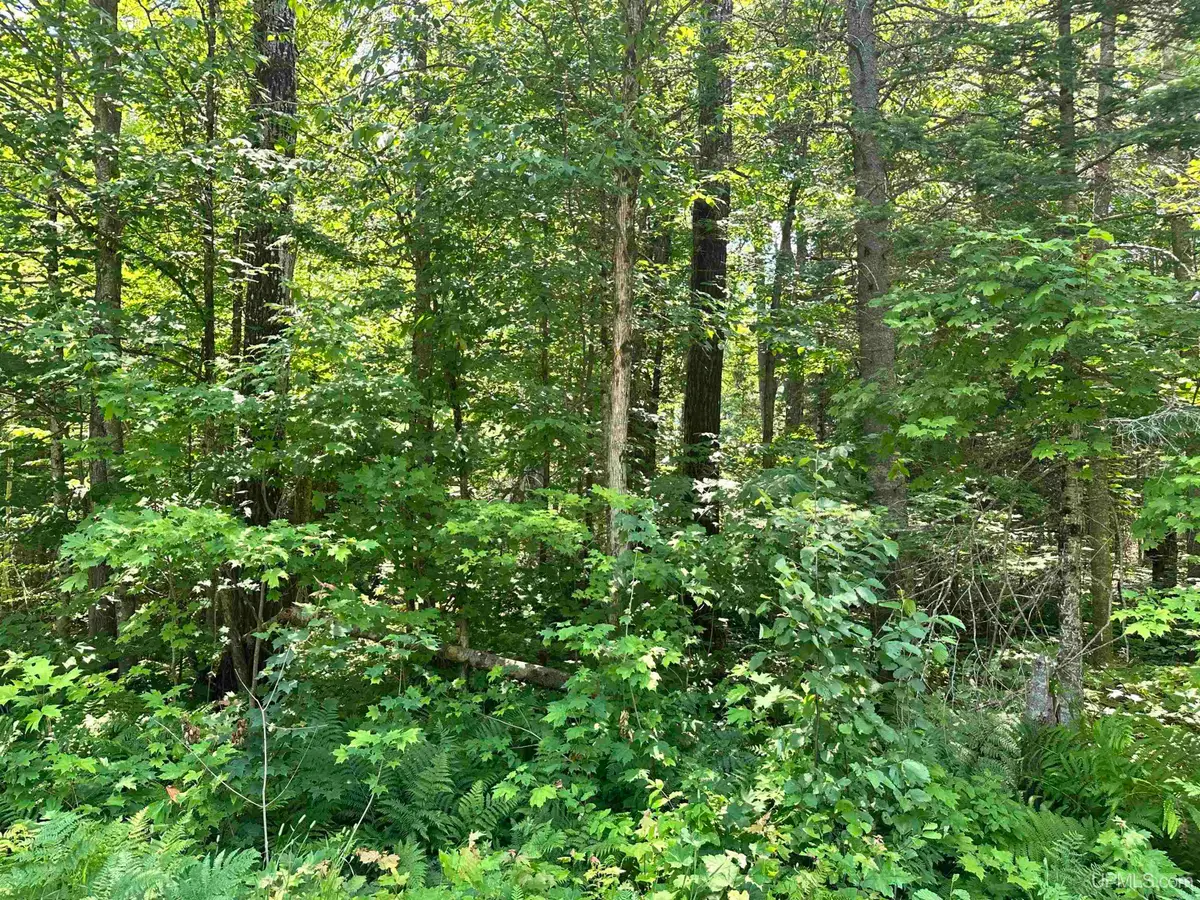 TBD Co Rd 482, Ishpeming, MI 49849 - #1