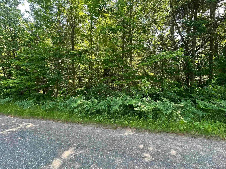 TBD Co Rd 482, Ishpeming, MI 49849 - #3