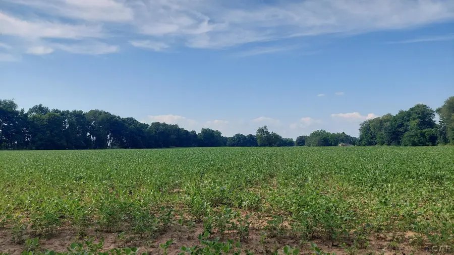 W Mosherville, Litchfield, MI 49252 - #2