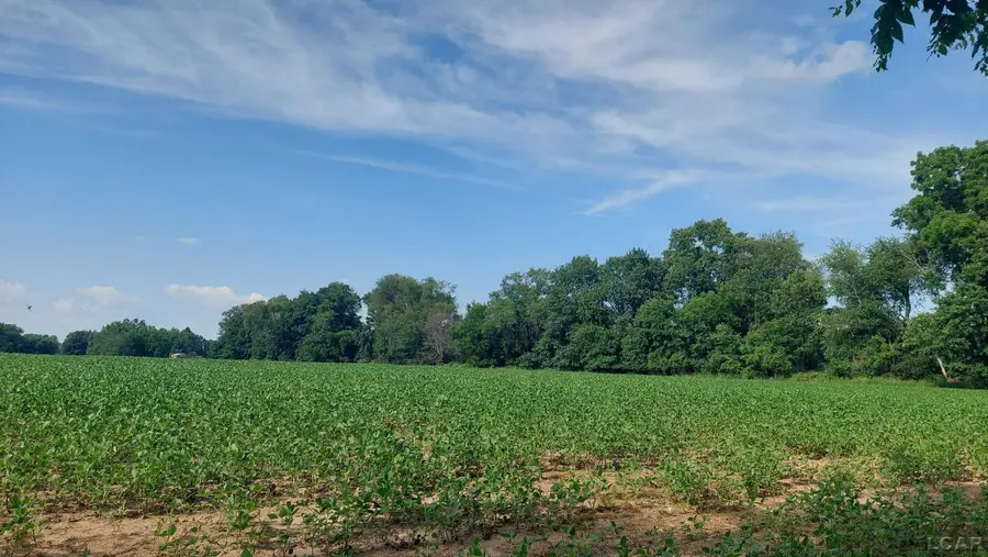 W Mosherville, Litchfield, MI 49252 - #3