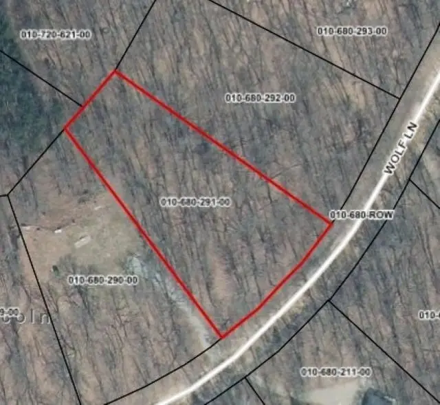 Lot 291 Wolf, Farwell, MI 48622 - #1