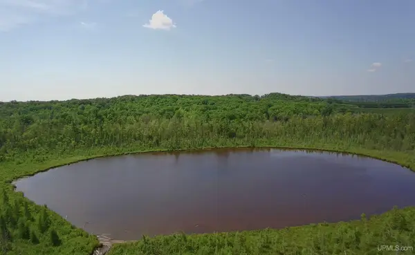 23 Acres Moonshine Hill, Wausaukee T-WI, WI 54177