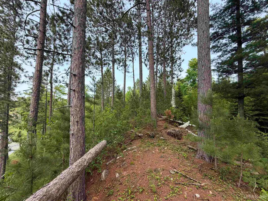 0 Off Granite Lake Rd, Republic, MI 49879 - #2