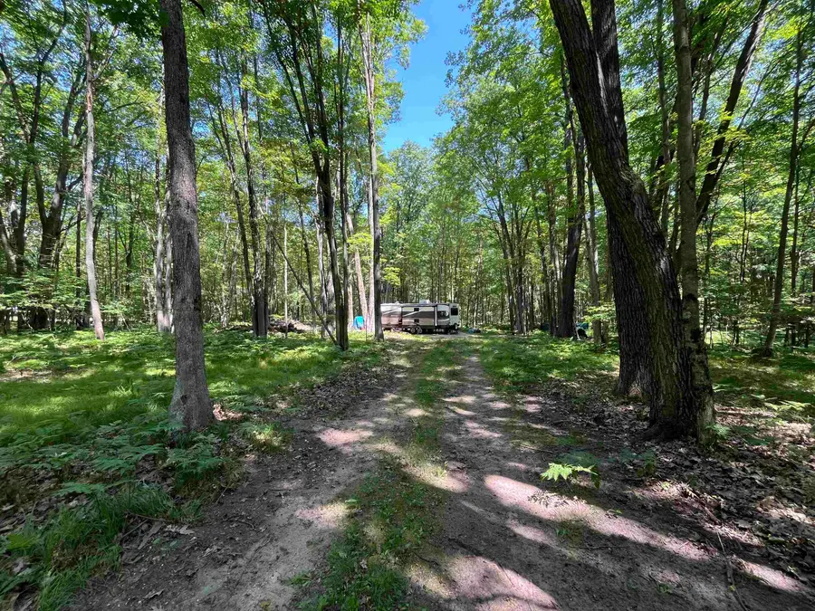1031 Spruce Hill, Farwell, MI 48622 - #2
