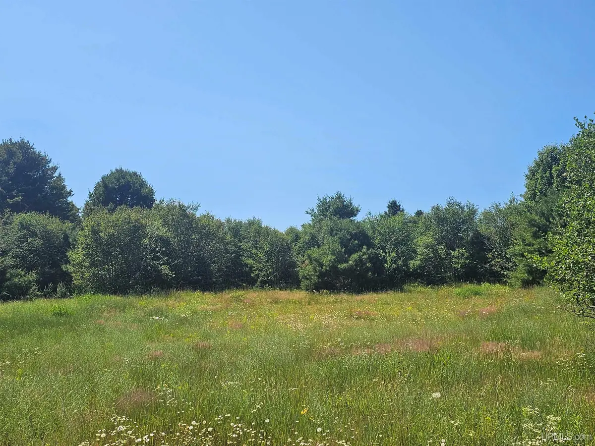 TBD Parcel M22 River Trails, Houghton, MI 49931 - #1