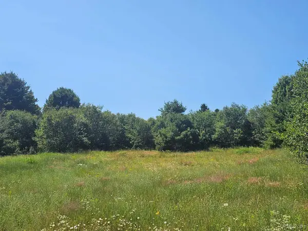 TBD Parcel M22 River Trails, Houghton, MI 49931