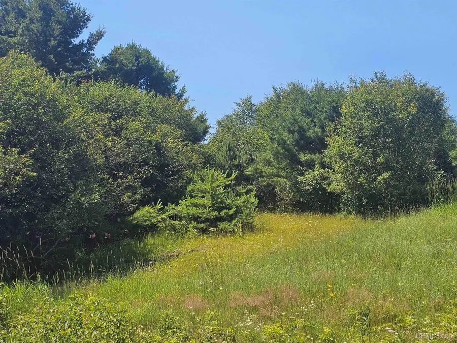 TBD Parcel M22 River Trails, Houghton, MI 49931 - #3