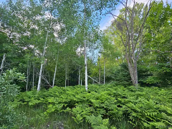 TBD Parcel M10 Applewood, Houghton, MI 49931