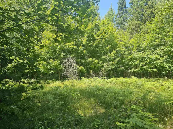 TBD Parcel M12 Applewood, Houghton, MI 49931