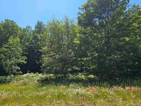 TBD Parcel M7 Applewood, Houghton, MI 49931
