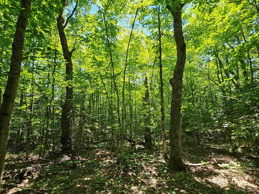 TBD Parcel M7 Applewood, Houghton, MI 49931 - #2