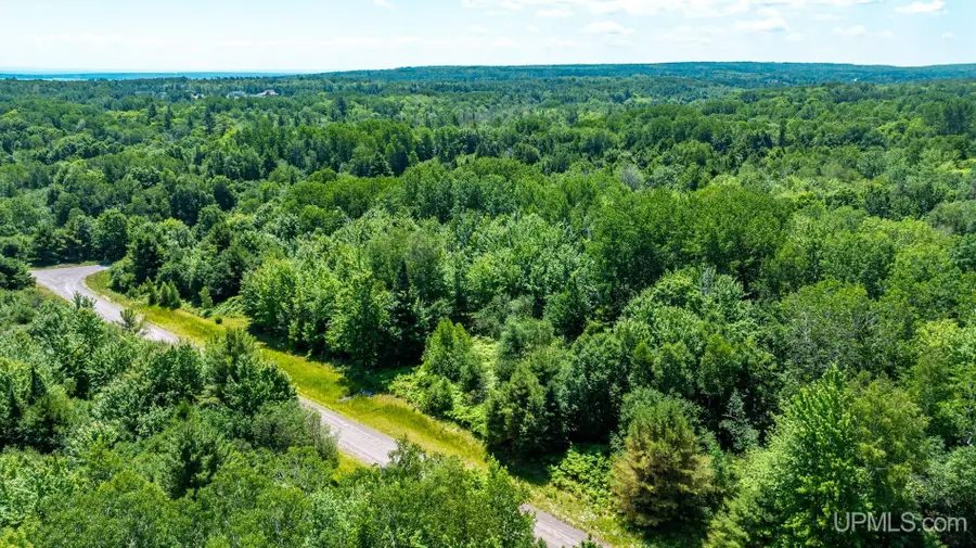 TBD Parcel M16 Applewood, Houghton, MI 49931 - #3