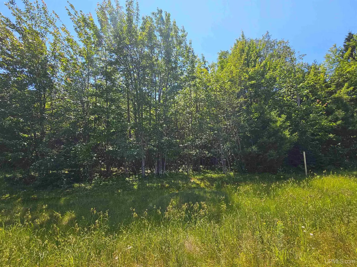 TBD Parcel M17 Applewood, Houghton, MI 49931 - #1