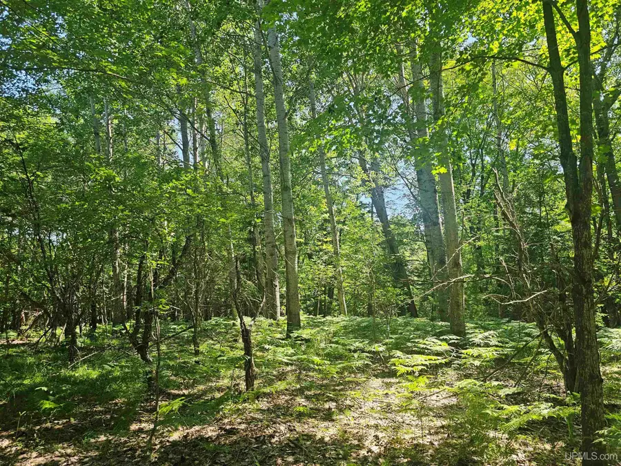 TBD Parcel M17 Applewood, Houghton, MI 49931 - #3