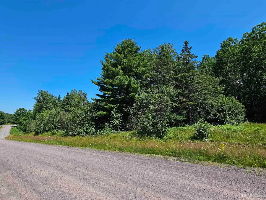 TBD Parcel M24 River Trails, Houghton, MI 49931 - #2