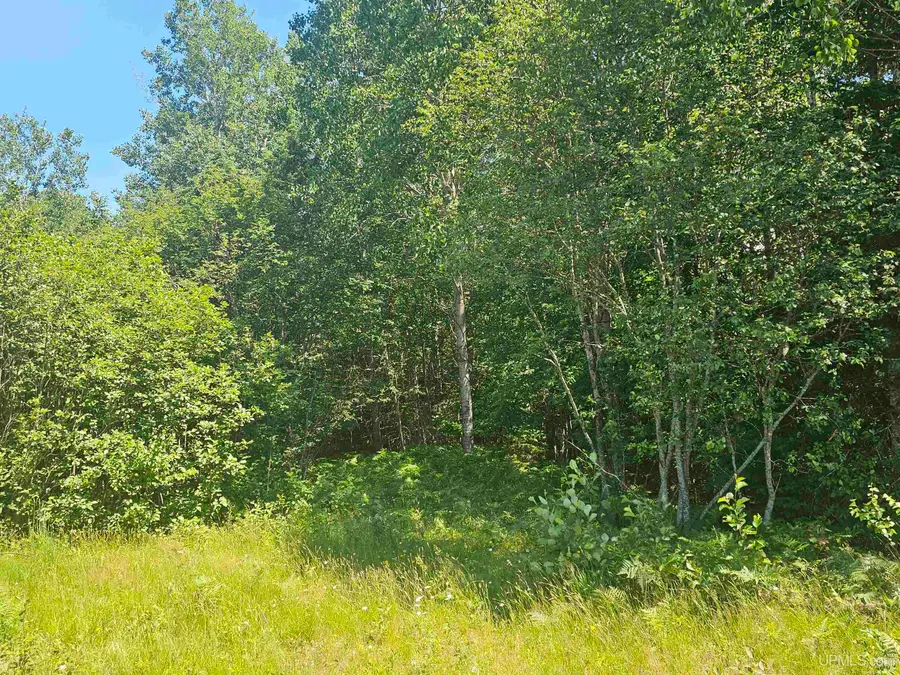 TBD Parcel M24 River Trails, Houghton, MI 49931 - #3