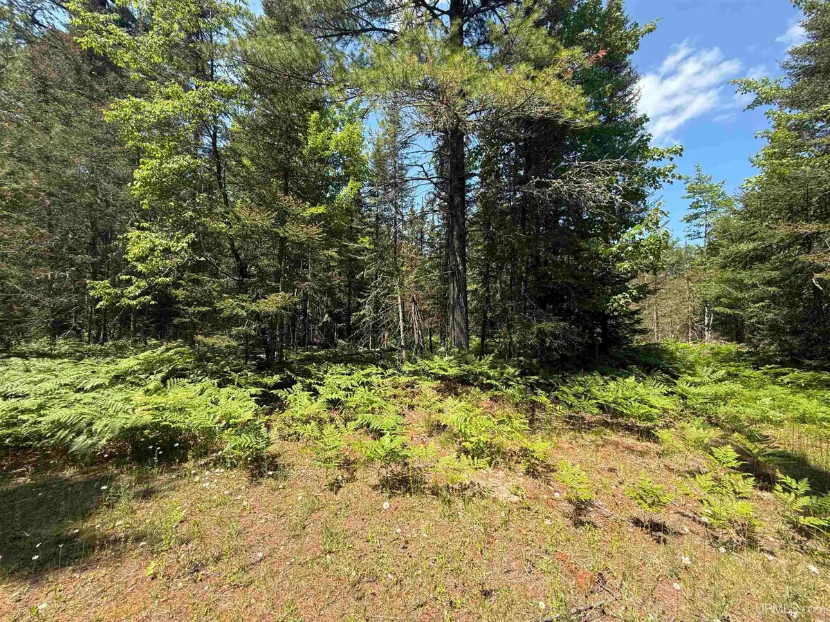 TBD Tall Timber, Lake Linden, MI 49945 - #1