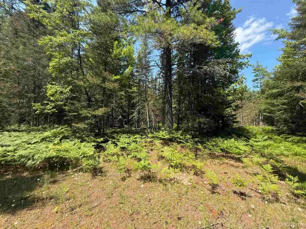 TBD Tall Timber, Lake Linden, MI 49945