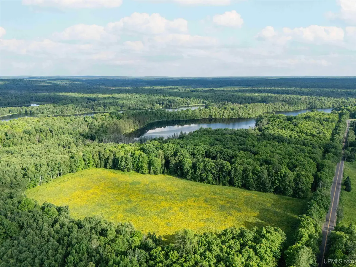 441 Kalla Walla, Crystal Falls, MI 49920 - #1