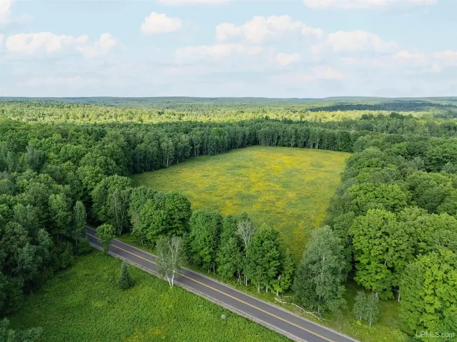 441 Kalla Walla, Crystal Falls, MI 49920 - #2