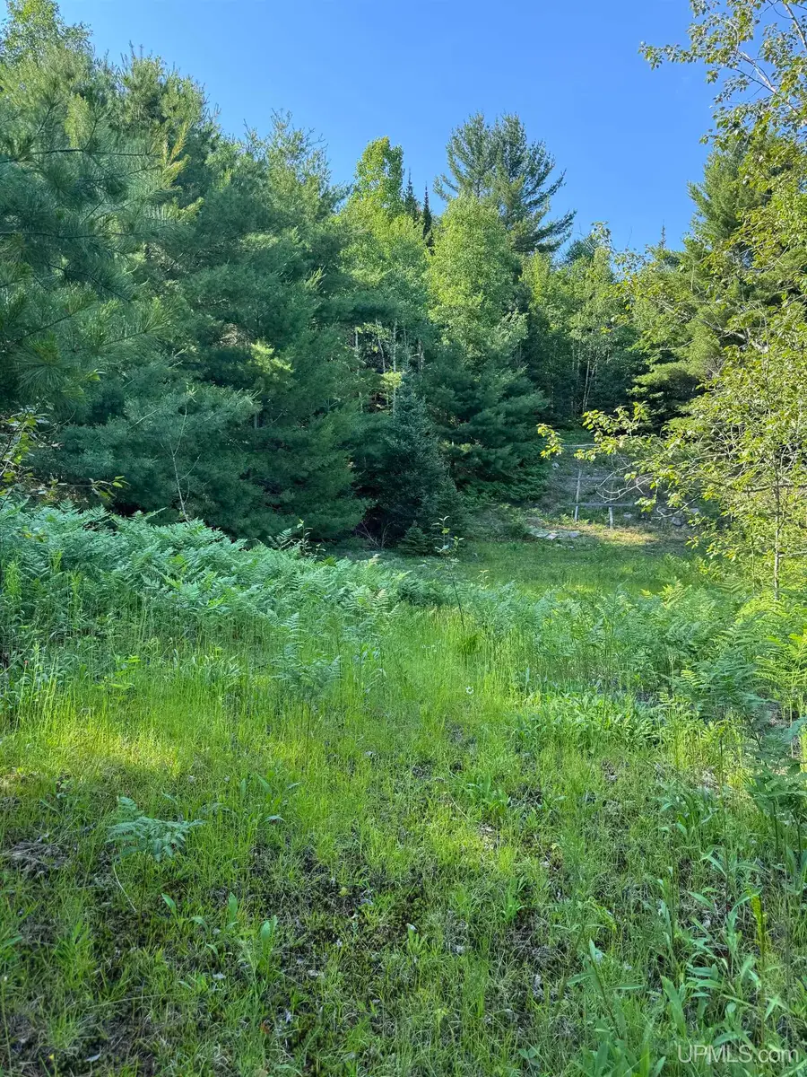 TBD Co Rd 601, Republic, MI 49879 - #3