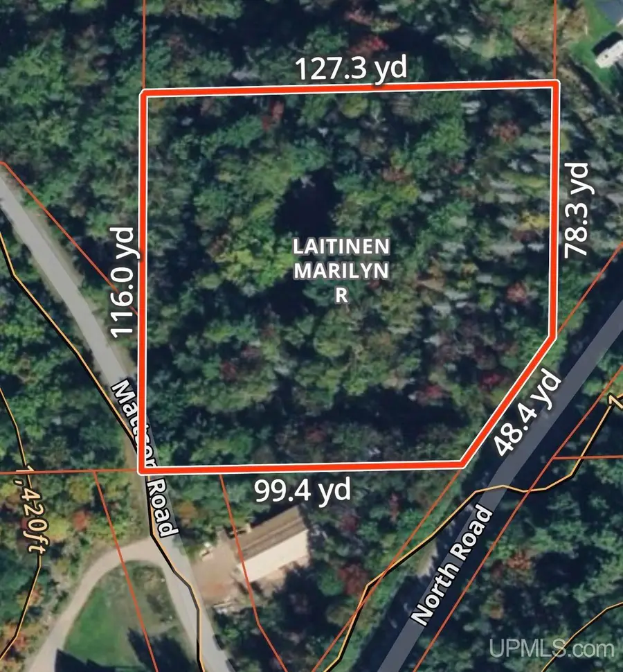 6 Mattson, Negaunee, MI 49866 - #3